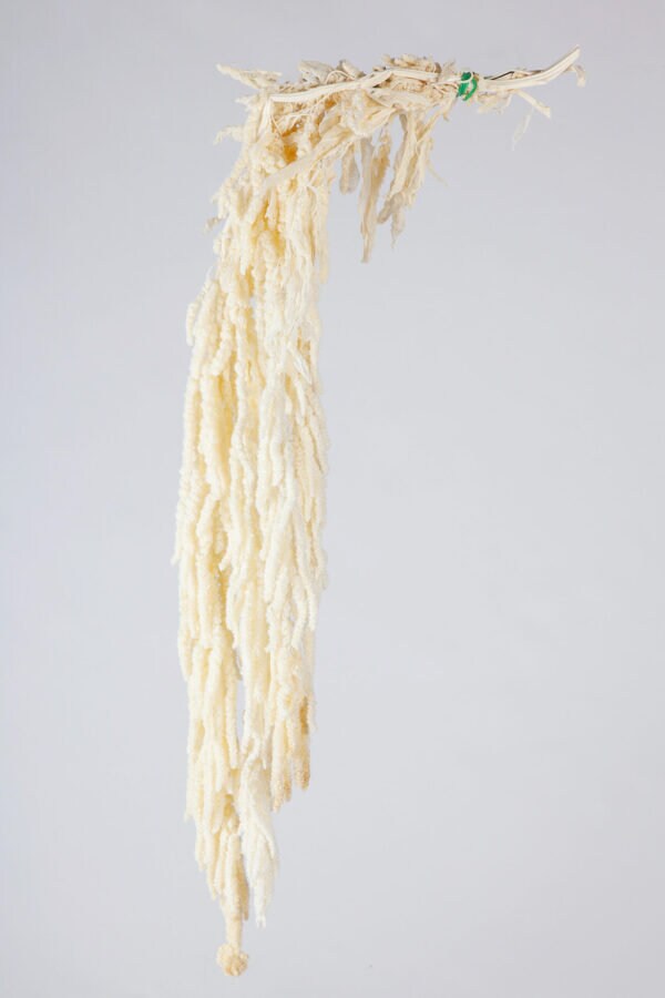 Hanging Preserved Amaranthus cream bleached- 6 -7 stems/ wall decoration, preserved foliage