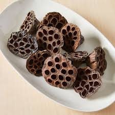 x10 dried lotus pop, DIY craft tool