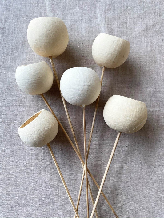 x6 Bell cup bleached on stalk naturel bunch to decoration, handmade outile
