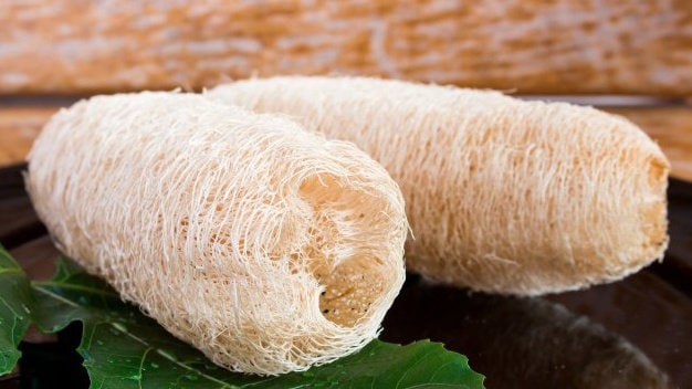 x5 Dried bleached natural loofah, decoration, DIY tool