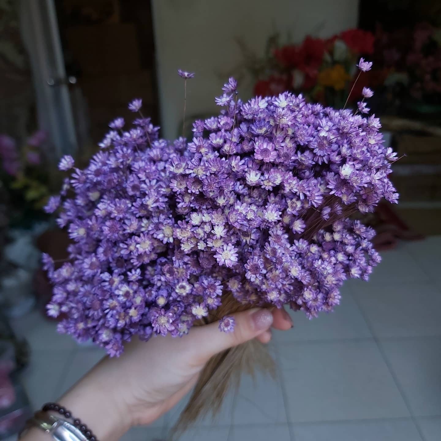 Glixia marcelo 80g, immortelle Brazil, rustic flower, art decoration