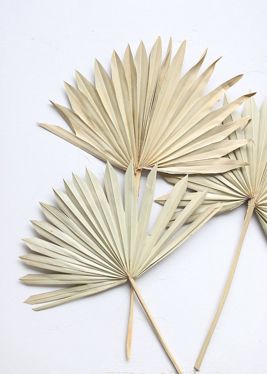 x5 Dried sun palm wedding decor, boho style, natural palm