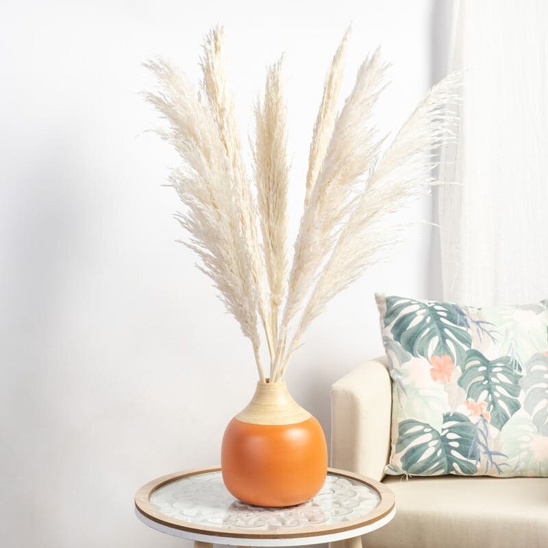 x10 Herbe de pampas plume blanchi 60-70cm, bleached short pampa plume, rustic decoration
