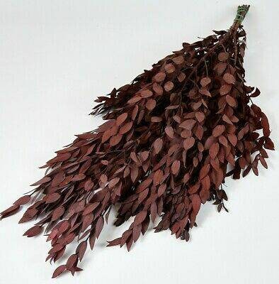 Preserved eucalytus parvifolia red 120g, preserved foliage, preserved leaf