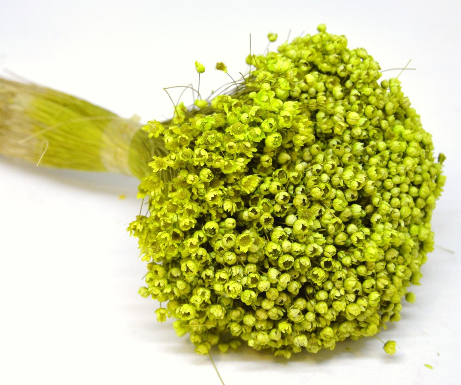 Glixia marcelo 80g, immortelle Brazil, rustic flower, art decoration