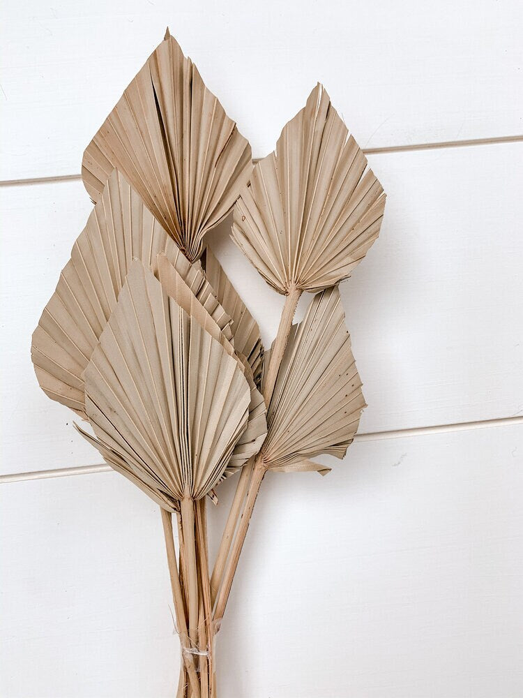 x5 natural dried mini palm spear, home decor, wedding decor, boho style