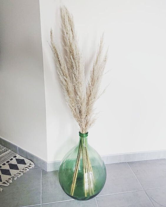 x10 Herbe de pampas plume blanchi 60-70cm, bleached short pampa plume, rustic decoration