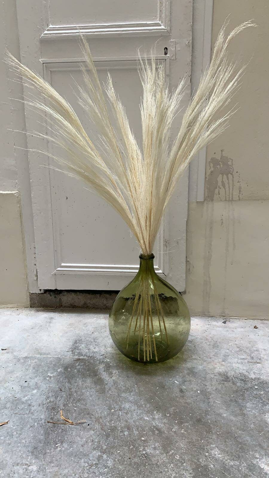 x10 Herbe de pampas plume blanchi 60-70cm, bleached short pampa plume, rustic decoration