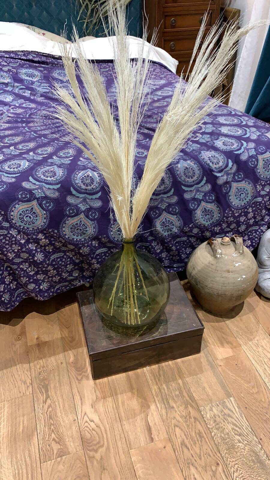 x10 Herbe de pampas plume blanchi 60-70cm, bleached short pampa plume, rustic decoration