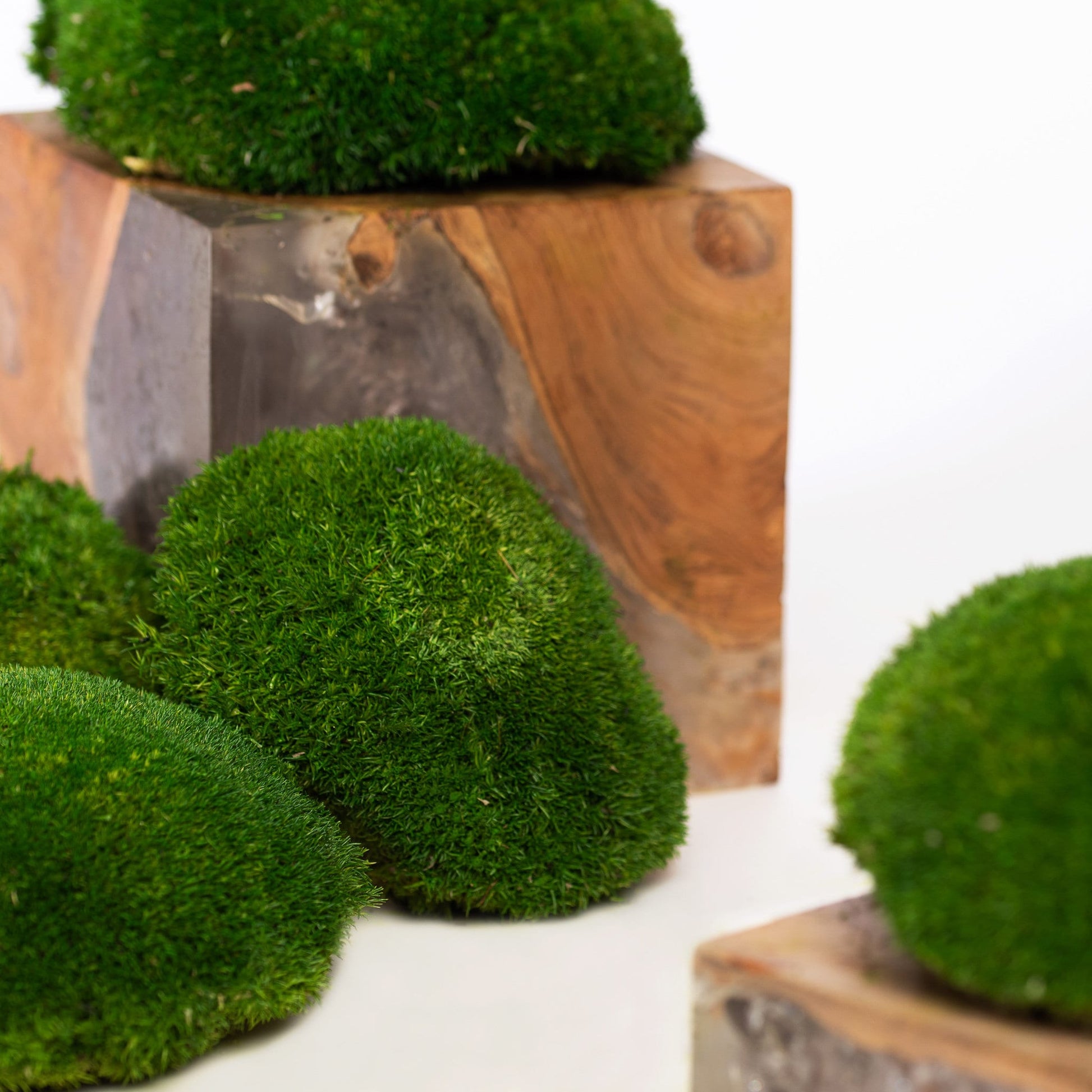Preserved moss ball forest green, moss art, wall moss, DYI tool, decoration interieur