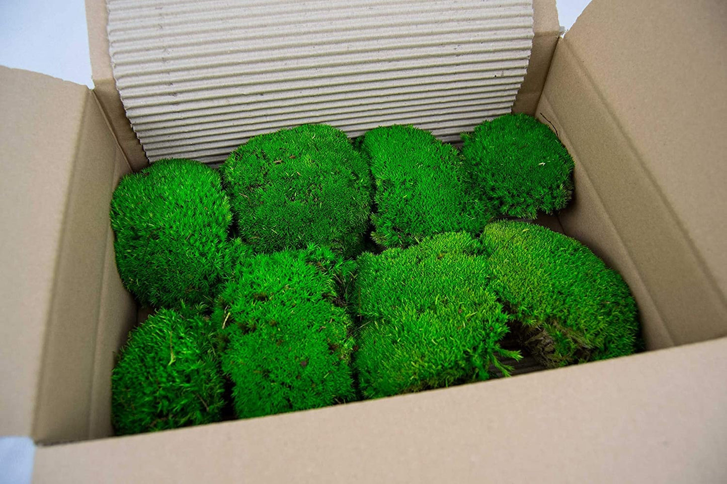 Preserved moss ball forest green, moss art, wall moss, DYI tool, decoration interieur
