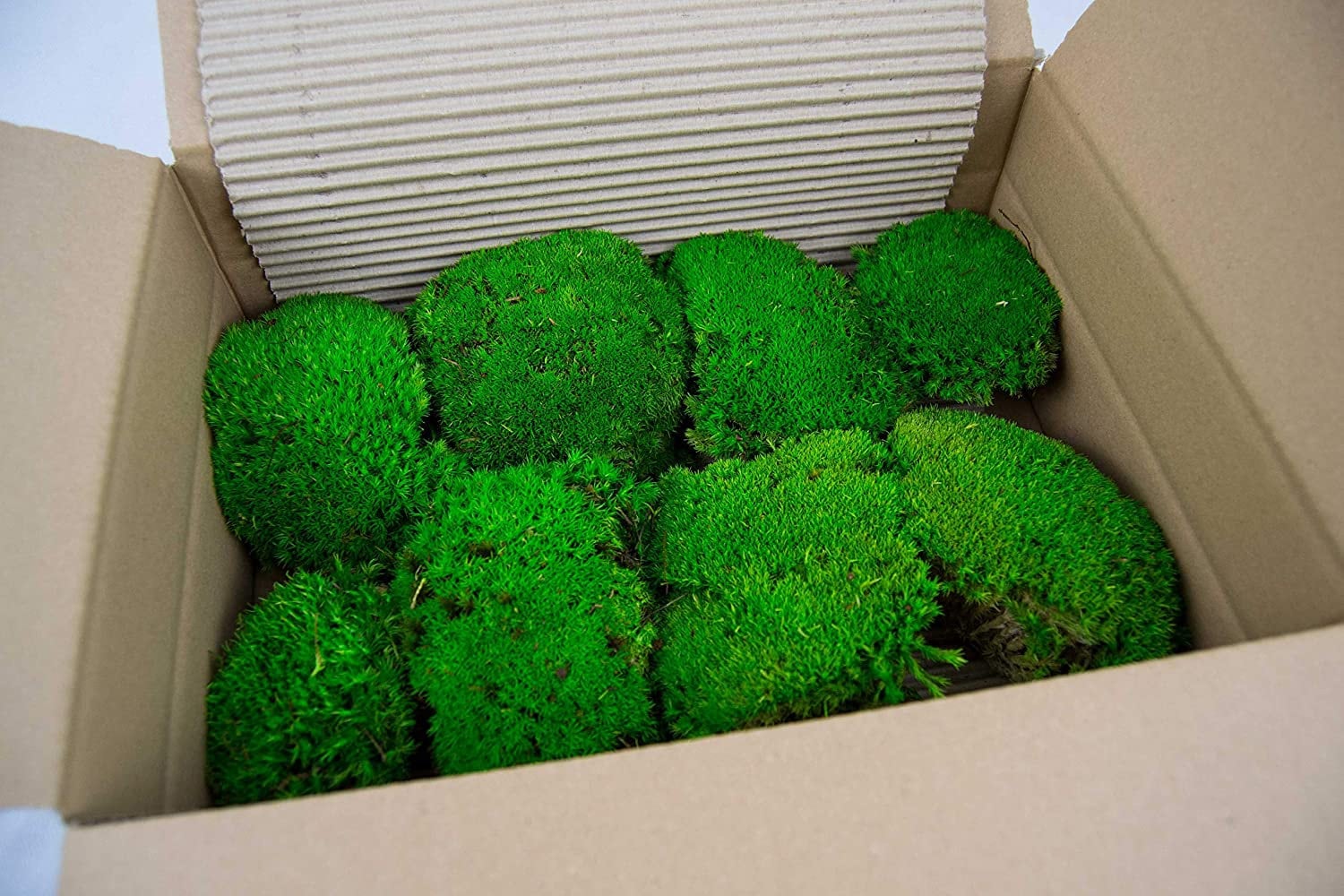 Preserved moss ball forest green, moss art, wall moss, DYI tool, decoration interieur