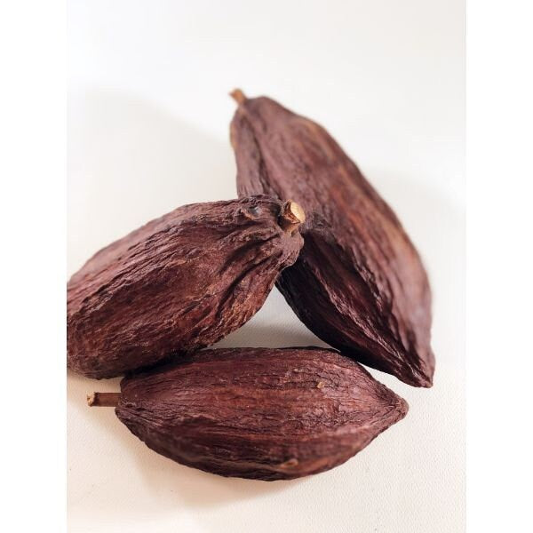 x1 Dried cacao pop for decoration, demonstration chocolat workshop ,shooting photo