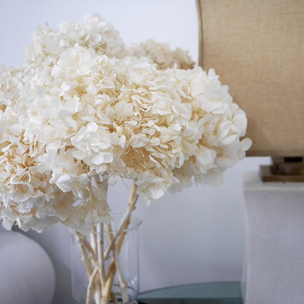 Big size Creamy White preserved hydrangea diameter 28-30cm, hydrangea on stem, 2-3branches