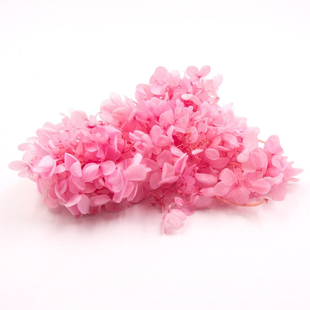 5g, 10g preserved hydrangea, preserved flower DYI for resin epoxy, hortensia