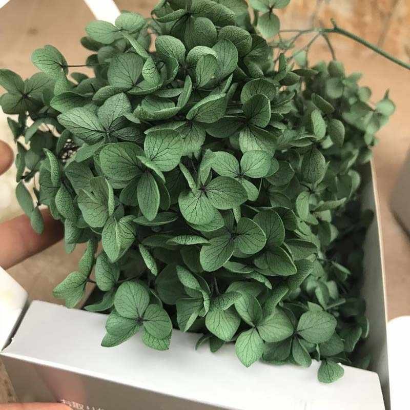 5g, 10g preserved hydrangea, preserved flower DYI for resin epoxy, hortensia