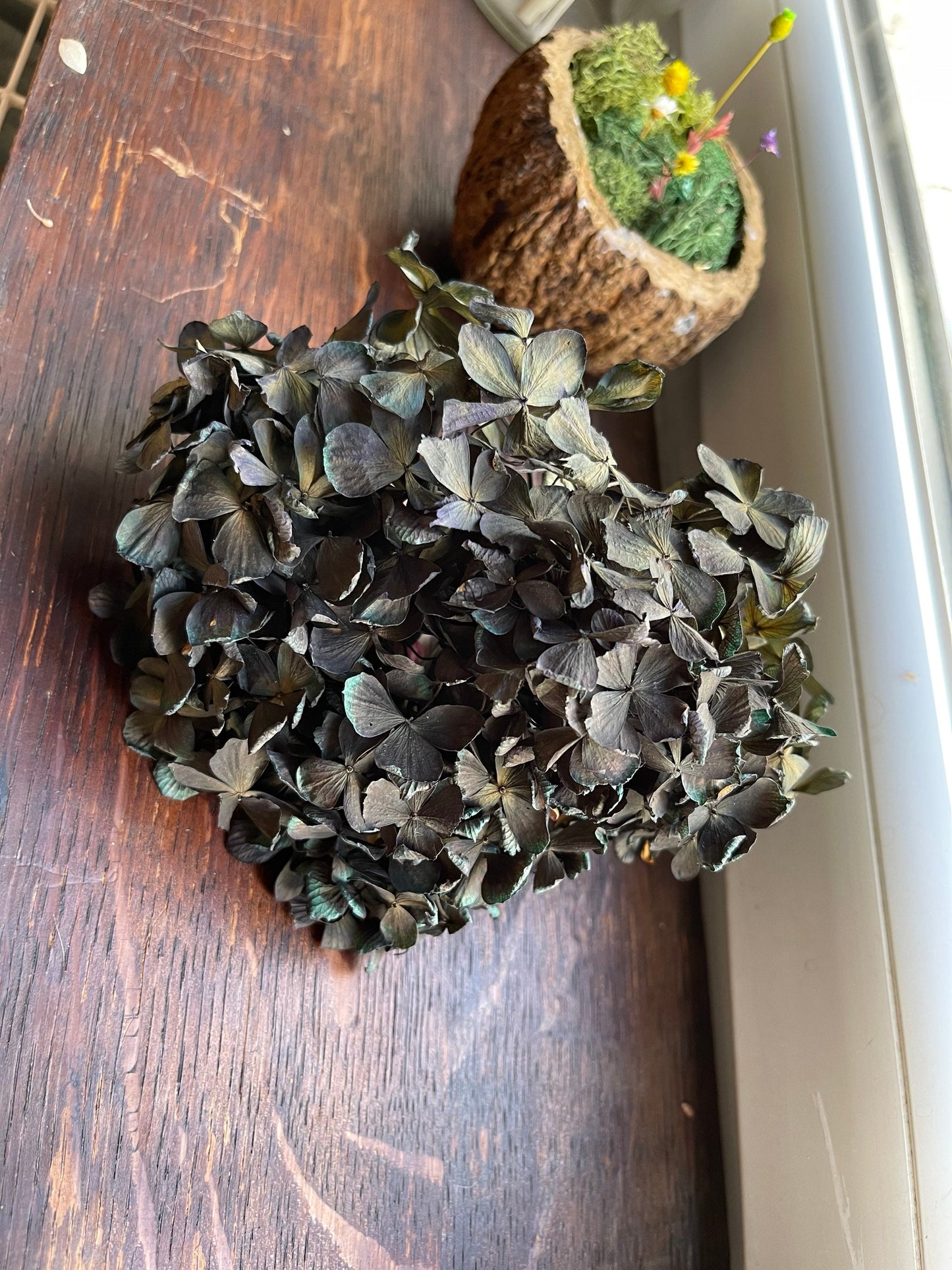 5g, 10g preserved hydrangea, preserved flower DYI for resin epoxy, hortensia