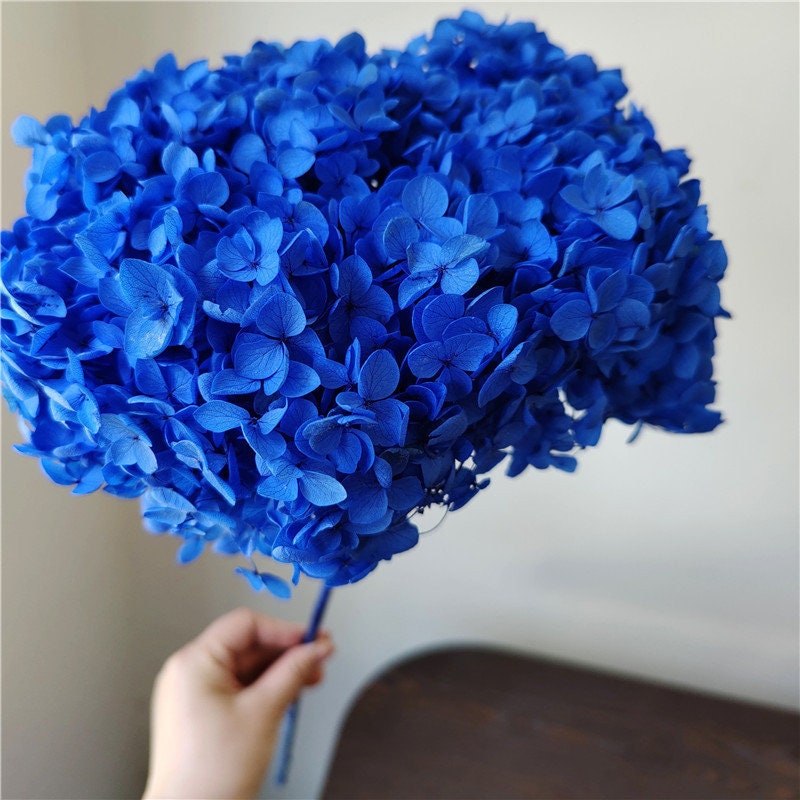 Preserved hydrangea dark sky blue, hortensia, preserved flower, resin, DIY jewelery, home decoration