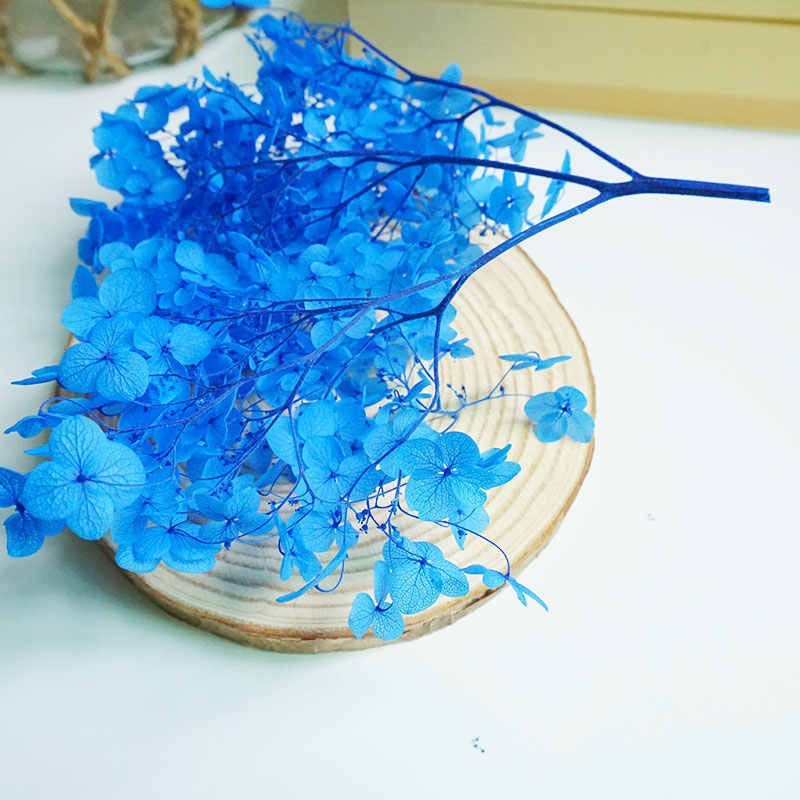 5g, 10g preserved hydrangea, preserved flower DYI for resin epoxy, hortensia