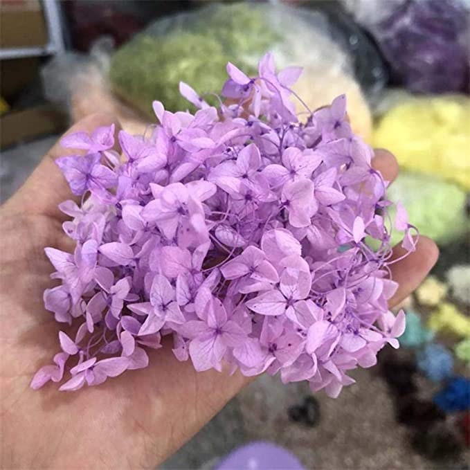 5g, 10g preserved hydrangea, preserved flower DYI for resin epoxy, hortensia