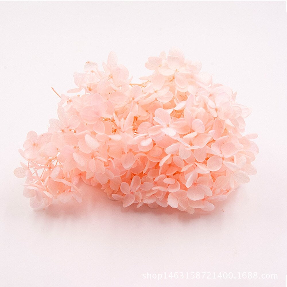 5g, 10g preserved hydrangea, preserved flower DYI for resin epoxy, hortensia