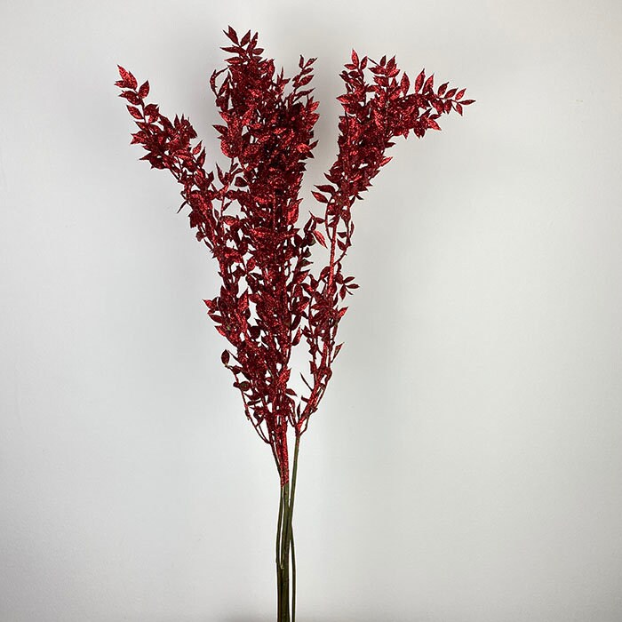 Preserved italien ruscus bordeaux red, ruscus stabilise, preserved leaf, preserved foliage