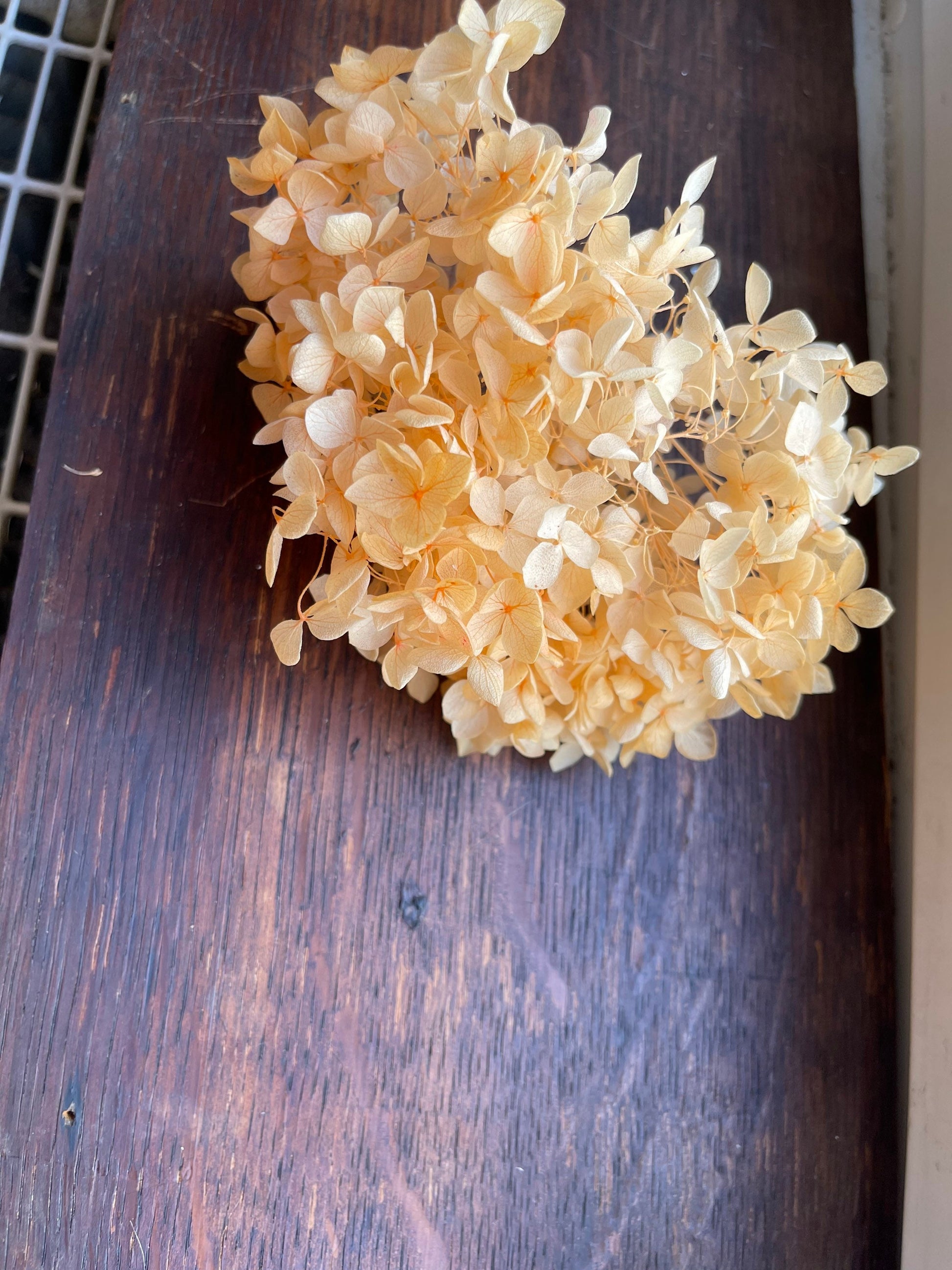 5g, 10g preserved hydrangea, preserved flower DYI for resin epoxy, hortensia