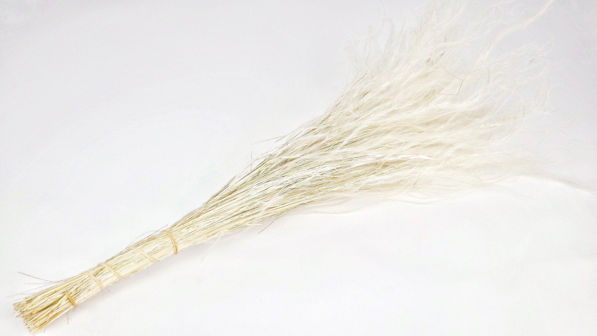 Dried stipa natural , wispy grass, feather grass