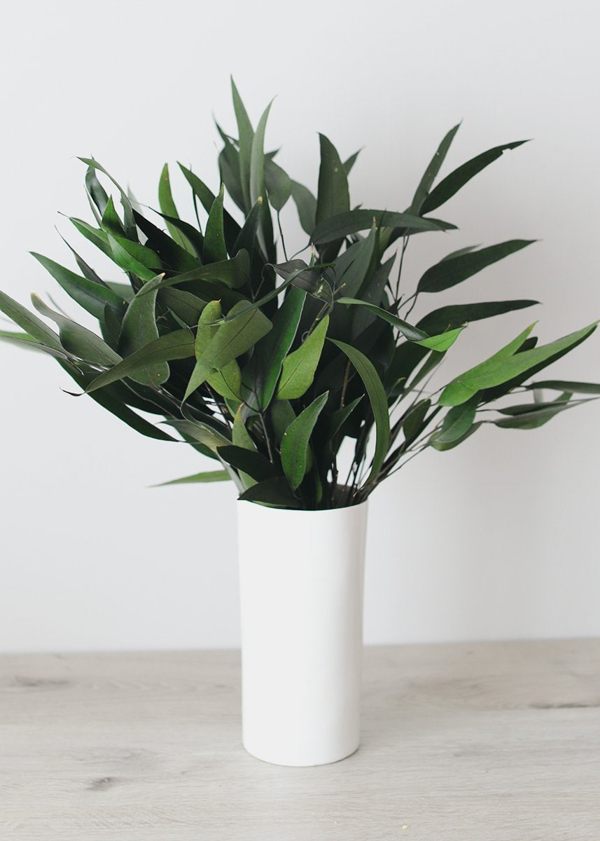 Preserved eucalytus willow, preserved leave, willow eucalyptus, dark green natural eucalyptus, preserved foliage