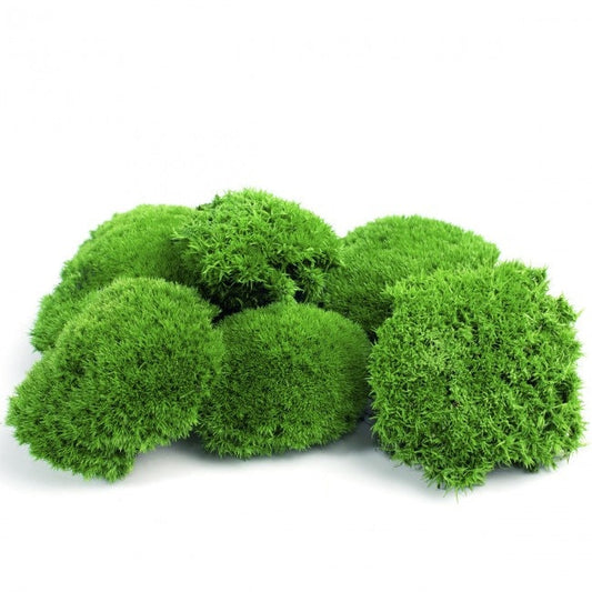 Preserved moss ball light green, moss art, wall moss, DYI tool, decoration interior
