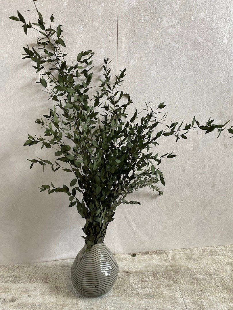 Preserved eucalytus parvifolia green, preserved leaf, preserved foliage