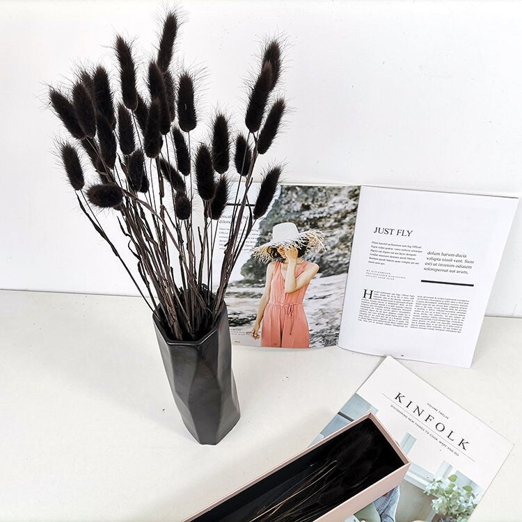 Lagurus queue de lapin, mini pampa teinté noir