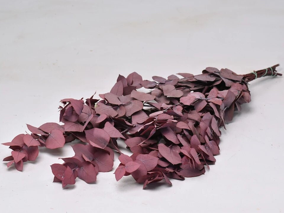 Preserved eucalyptus stuartiana red 120g, preserved leaf, preserved foliage