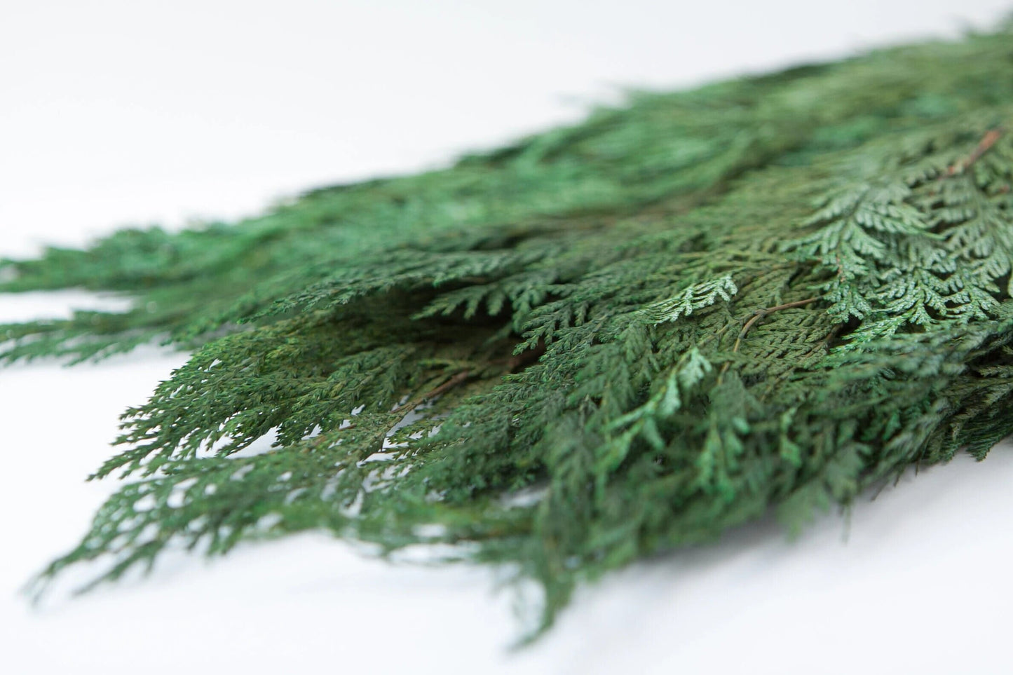 Preserved green natural color cedar, cedar branch, preserved leave 120g per bunch