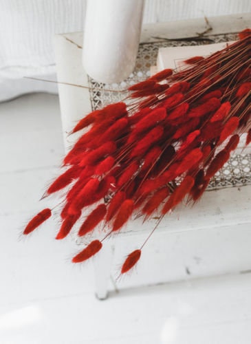 Lagurus, fleur queue de lapin,hare tail dried flower, rustic decoration