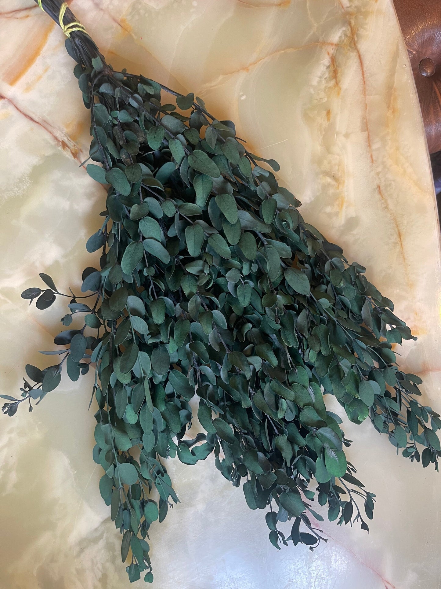 Preserved eucalytus gunii green, preserved leaf, preserved foliage