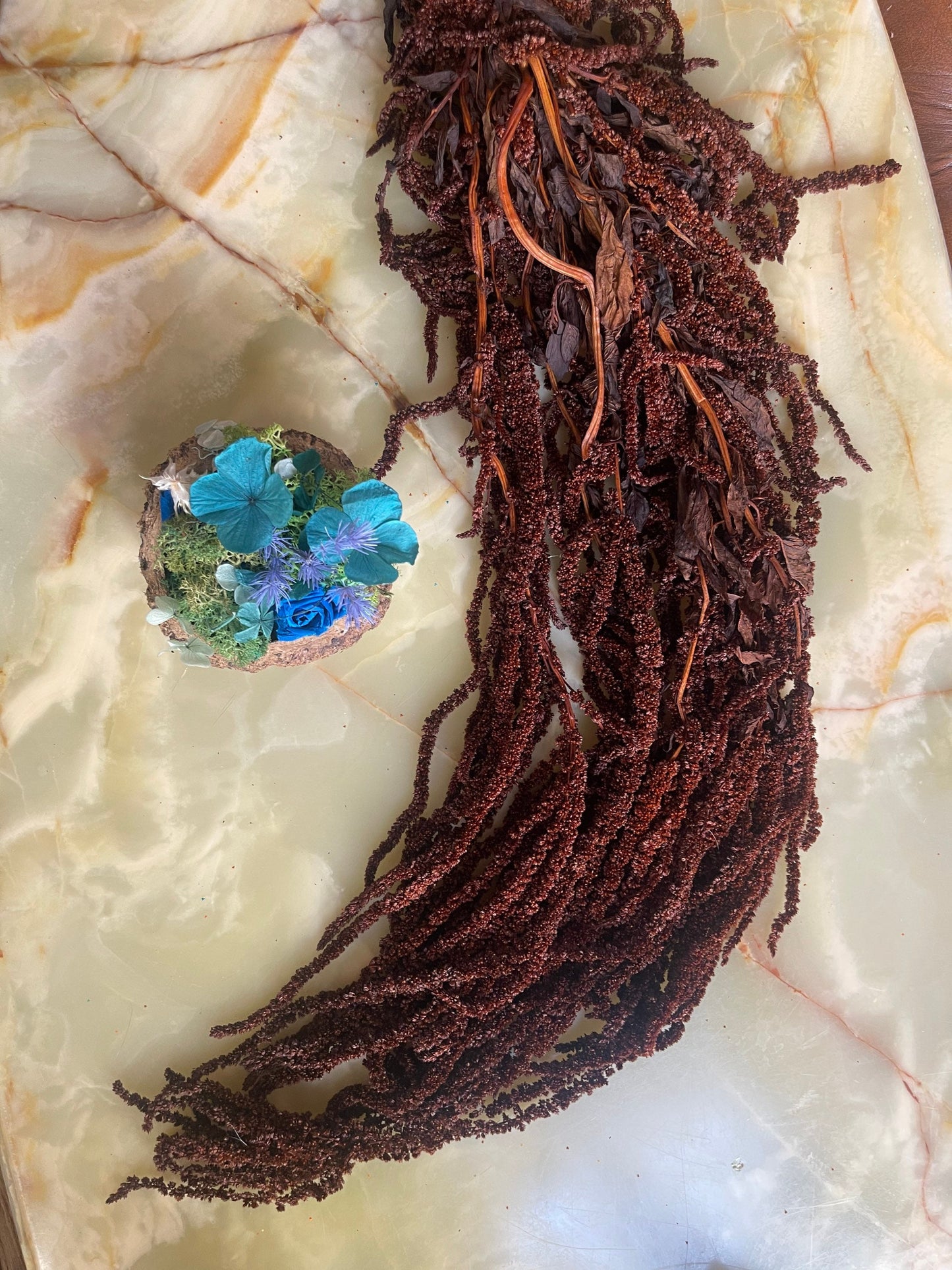 Hanging Amaranthus dark brown - 6 -7 stems/ Preserved Wedding flower decor Living walls