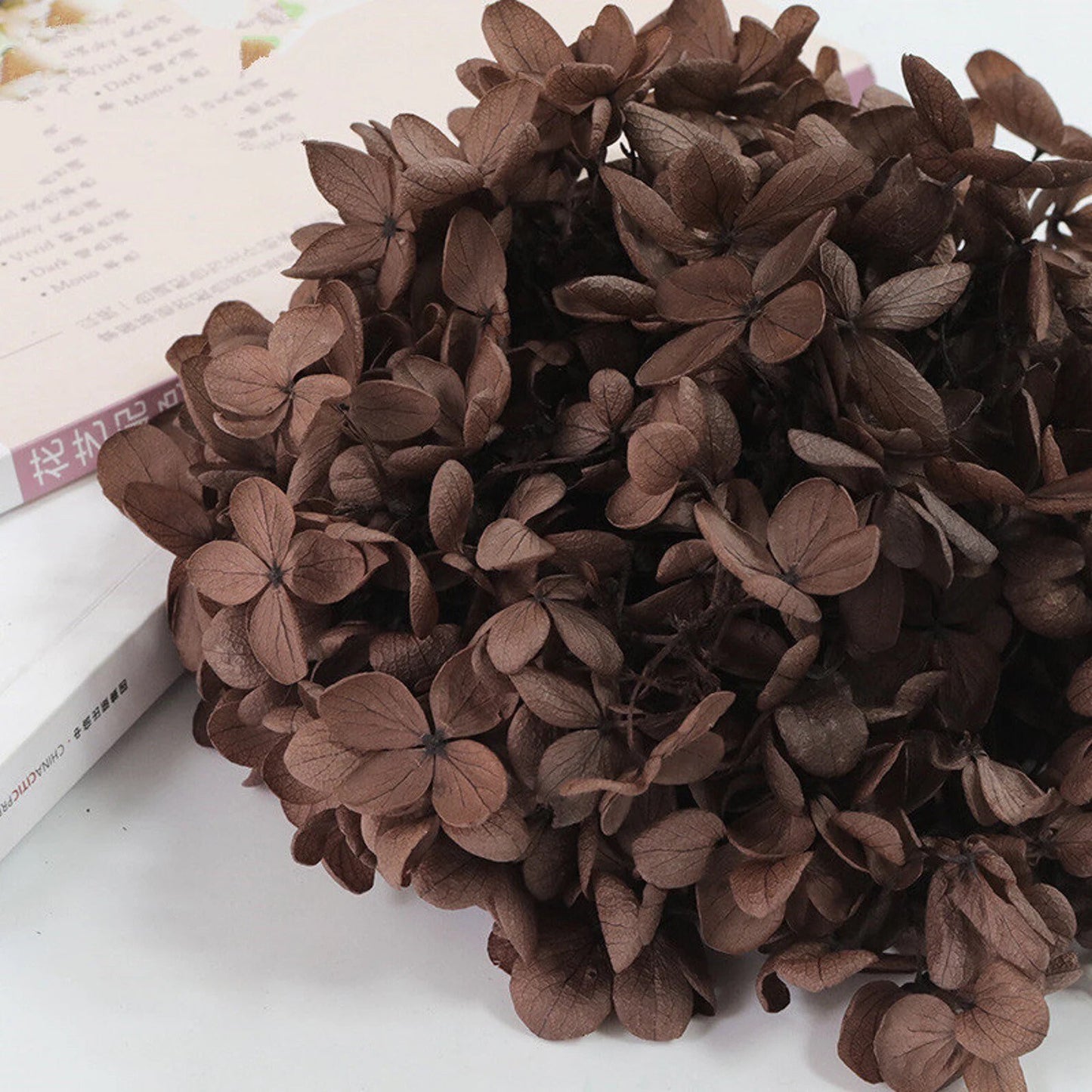 Different choice 5g preserved hydrangea, preserved flower DYI for resin epoxy, Hortensia, DYI resin