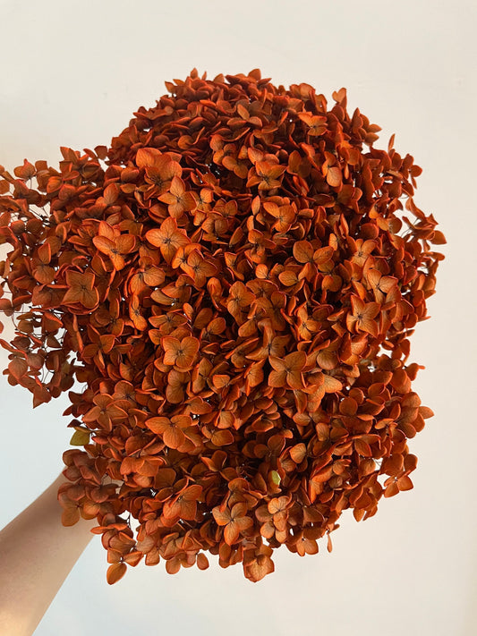 Preserved hydrangea métallique orange rouille terra-cotta, D18-20cm, hortensia, decoration de mariage, DIY