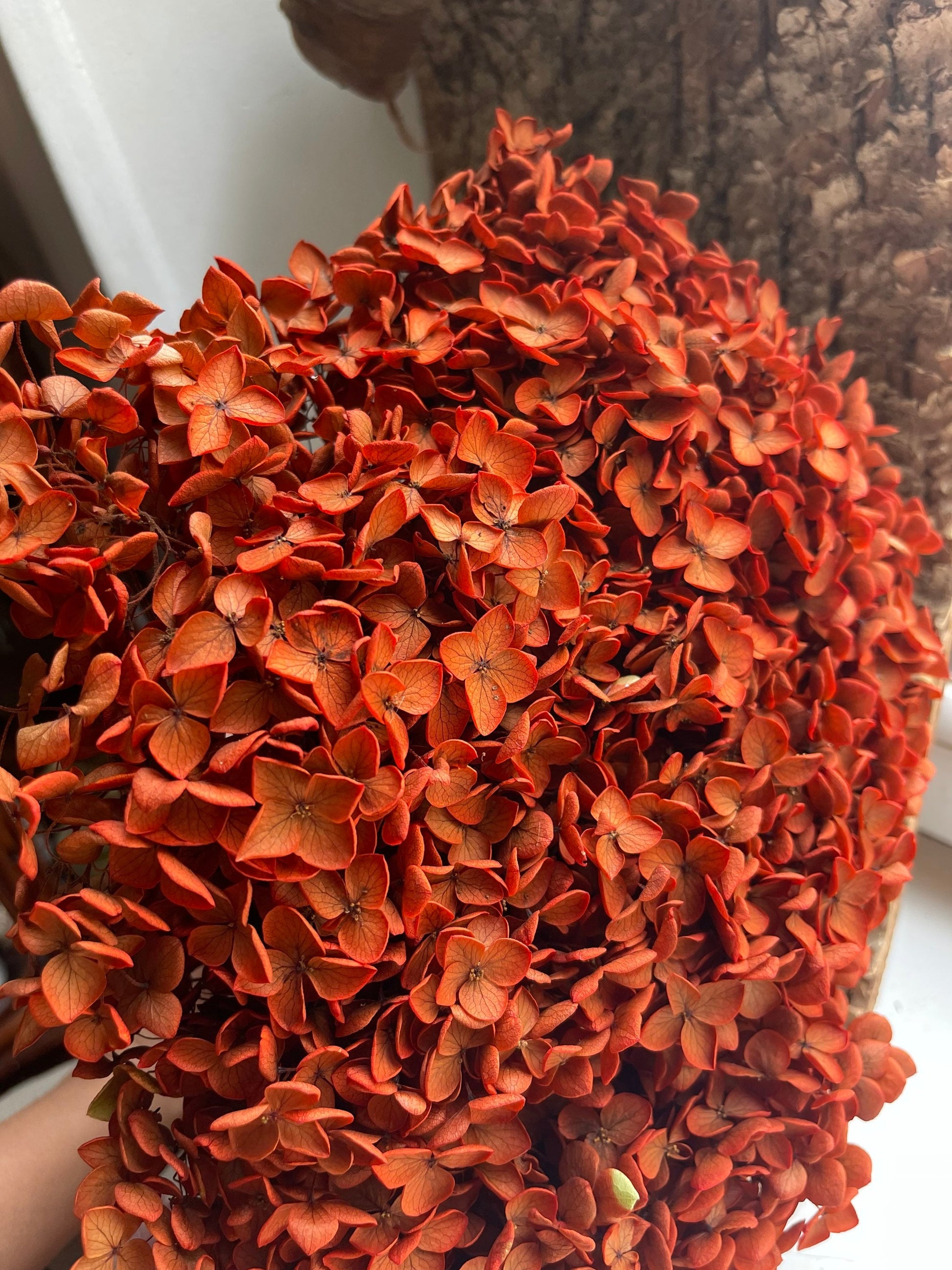 Preserved hydrangea métallique orange rouille terra-cotta, D18-20cm, hortensia, decoration de mariage, DIY