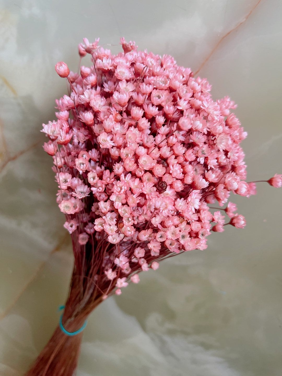 Colored Glixia Brazil, mini star, snowy flower, immortelle brezil, rustic decoration