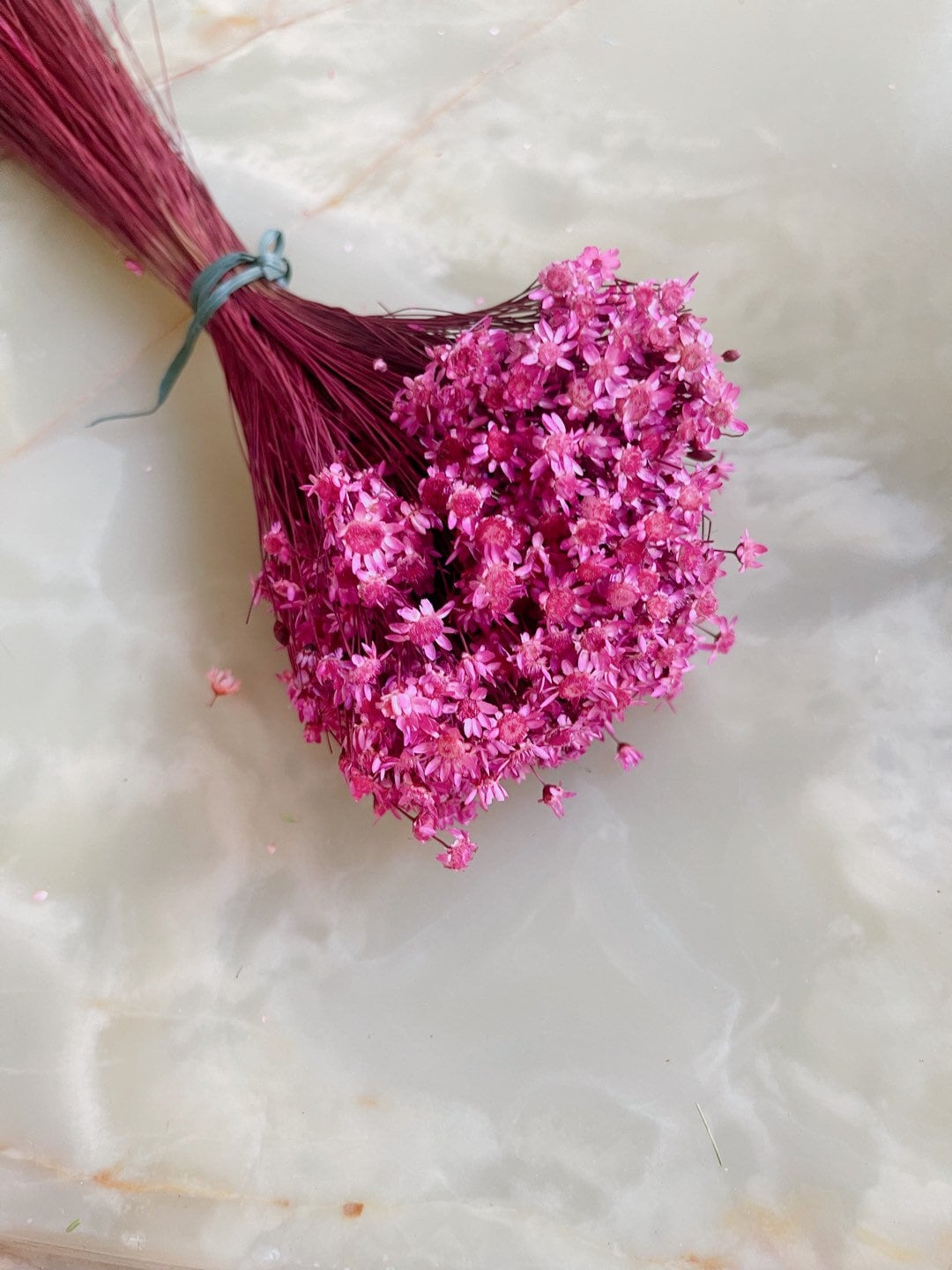 Colored Glixia Brazil, mini star, snowy flower, immortelle brezil, rustic decoration