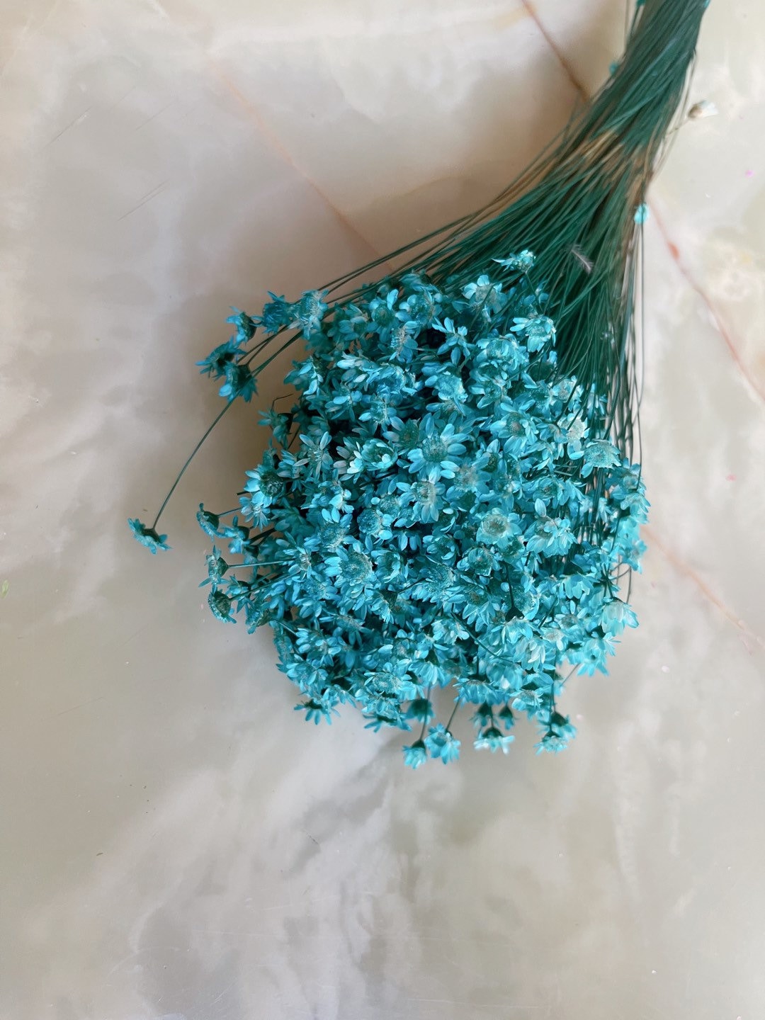 Colored Glixia Brazil, mini star, snowy flower, immortelle brezil, rustic decoration