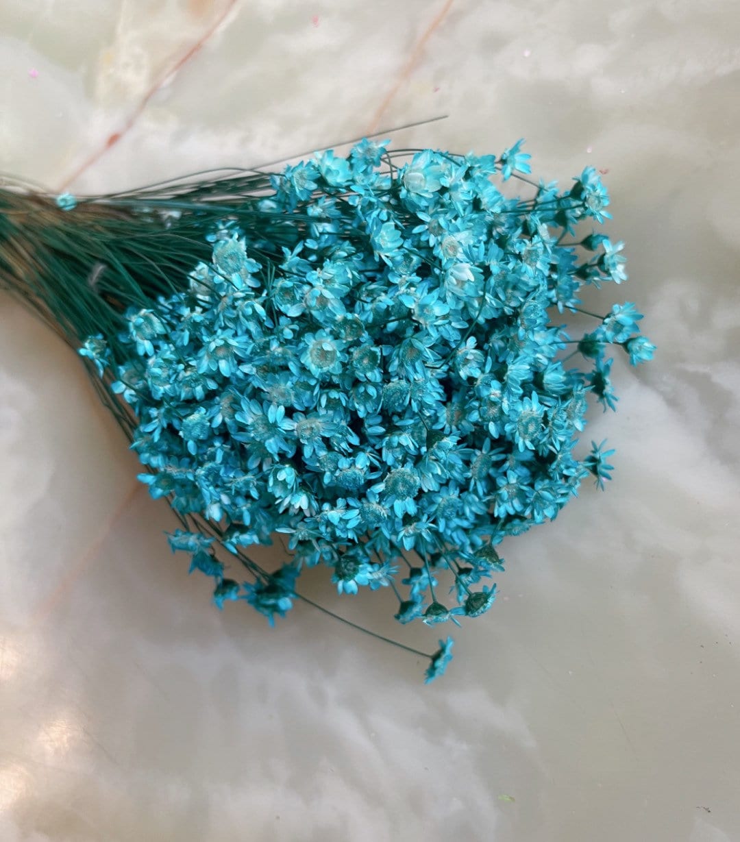 Colored Glixia Brazil, mini star, snowy flower, immortelle brezil, rustic decoration