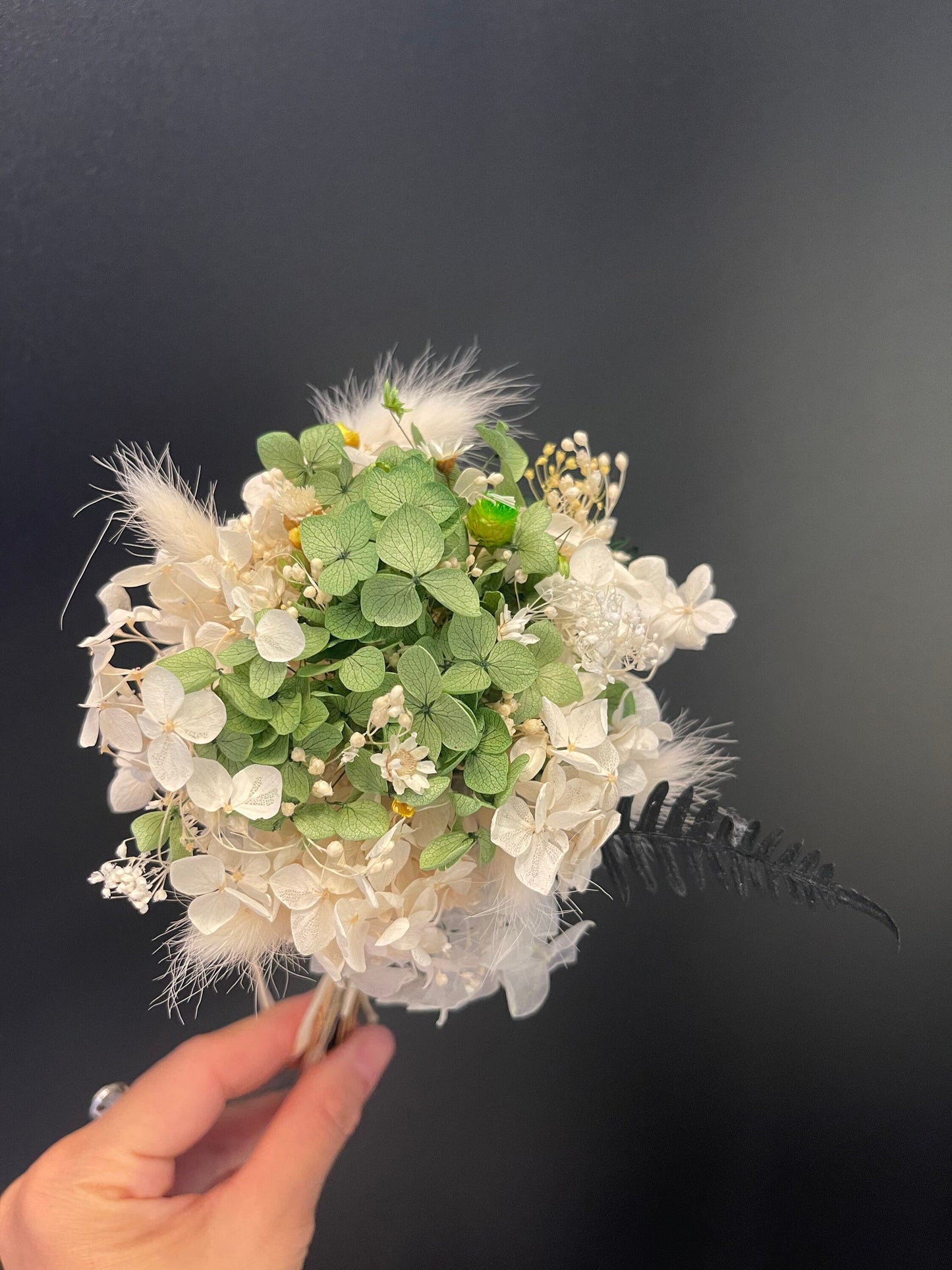 Small bunch Hydrangea, hortensia stabilise