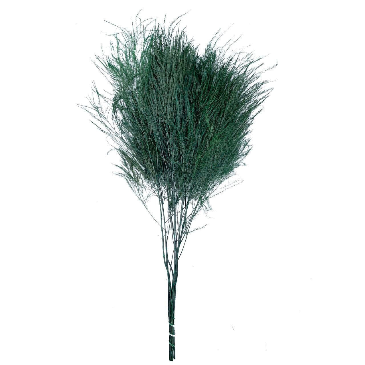 Preserved Tree fern, tiki fern forest green color 120g per bunch, wall moss, wall decoration, vegetable table