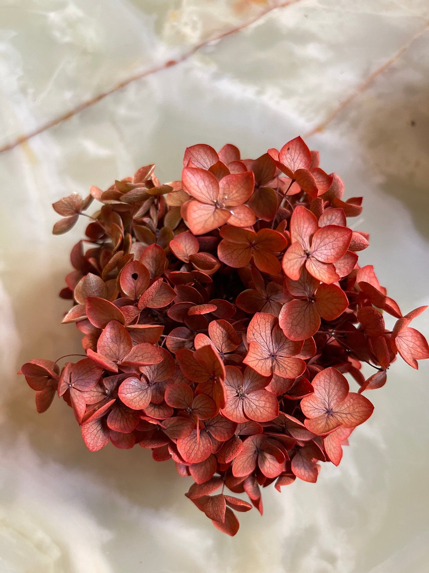 Different choice 5g preserved hydrangea, preserved flower DYI for resin epoxy, Hortensia, DYI resin