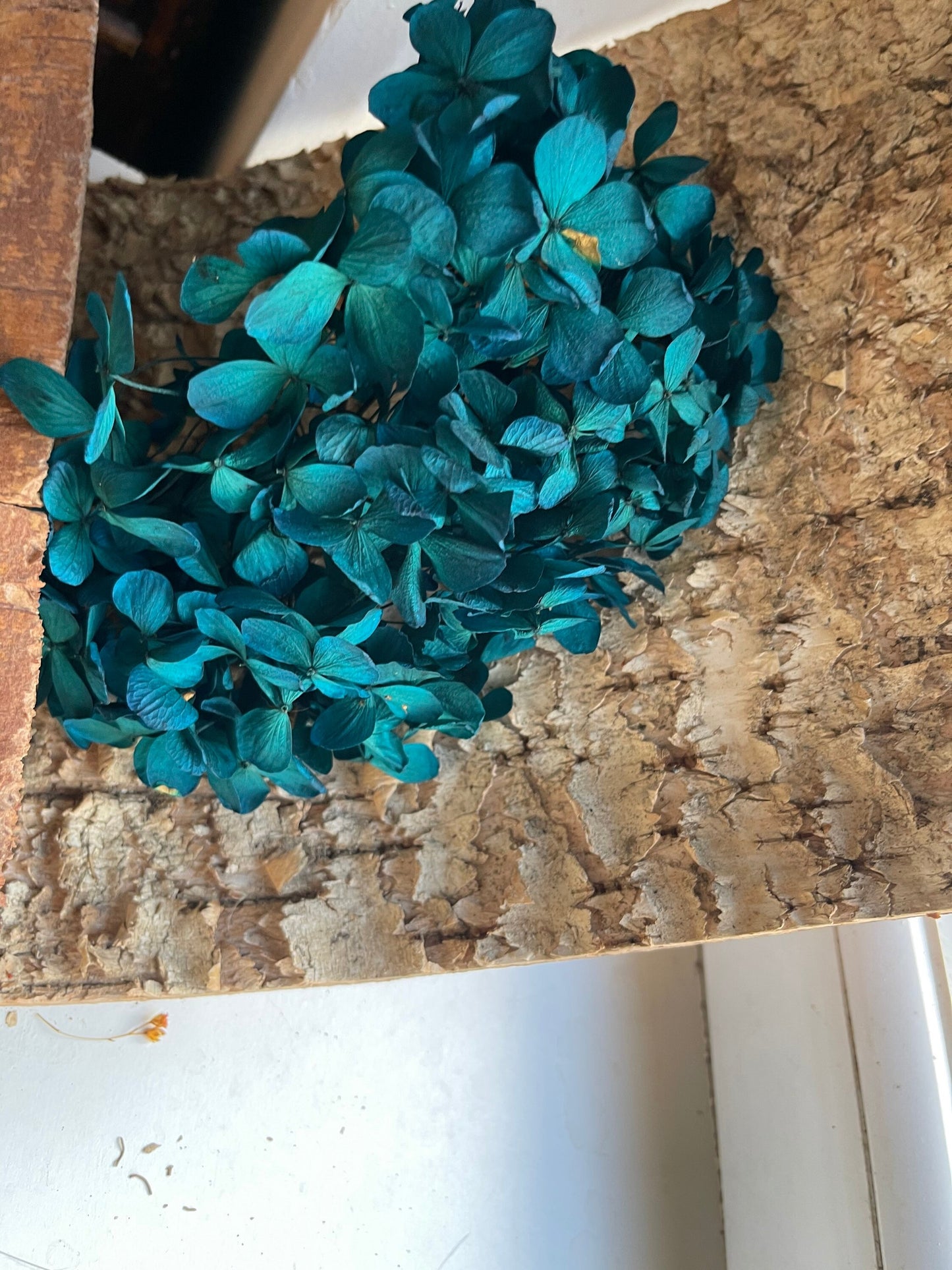 Different choice 5g preserved hydrangea, preserved flower DYI for resin epoxy, Hortensia, DYI resin