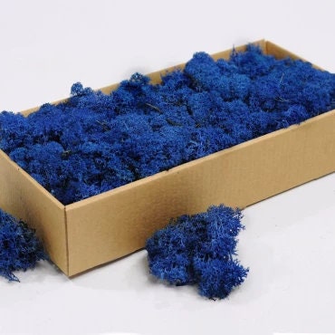 Reindeer Moss Dark ocean blue, preserved moss, wall decoration, DYI tableau, wall moss