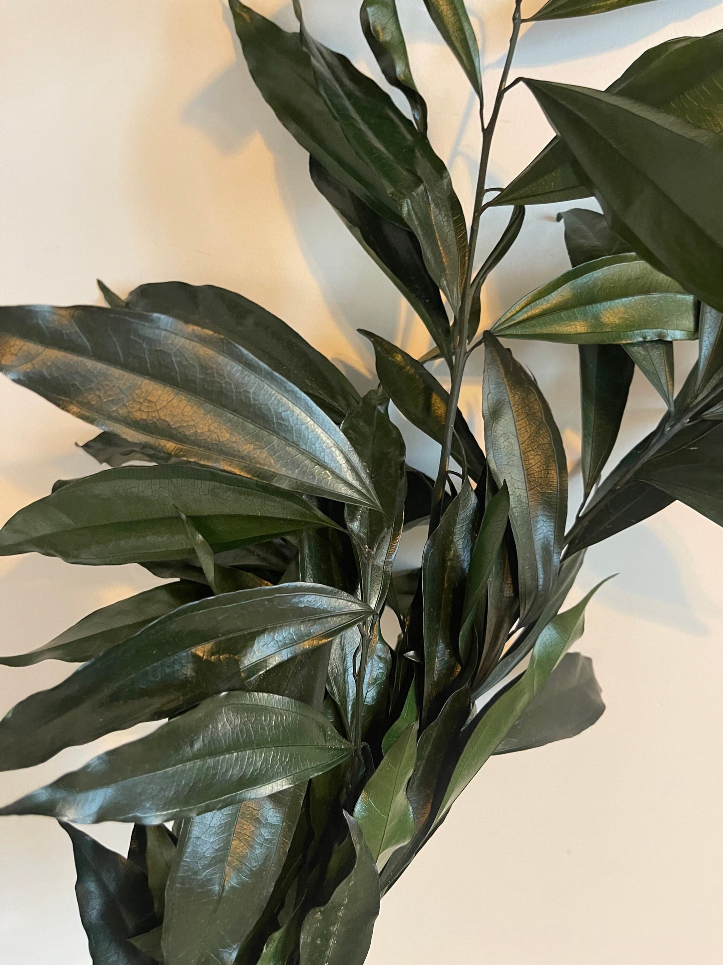 Preserved Cocculus green, hanging decoration, wall interior decoration approx 50cm 100-120g/bunch